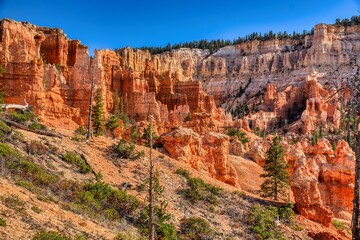 Enjoying the stunning natural beauty of Bryce Canyon USA. A thirst for adventure while traveling in America. Beautiful outdoor weather. High quality photo