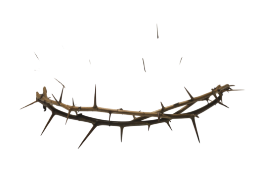 A rugged crown of thorns, symbolically representing suffering and sacrifice, isolated on a deep transparent background with scattered individual thorns. background removed