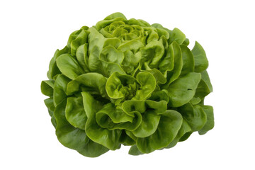 Obraz premium A fresh, vibrant green head of butter lettuce, with soft, crinkled leaves, ideal for healthy salads and meals. background removed