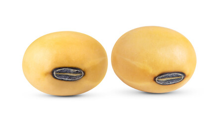 Soy beans isolated on transparent png ( image from camera )
