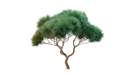 A stylized bushy green tree with intricate brown, twisted branches, presented on a solid transparent background. Ideal for botanical or natural designs. background removed
