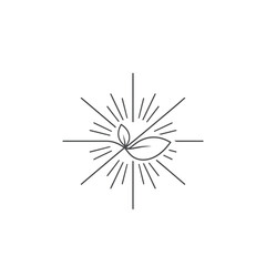 Obraz premium A linear design of leaves with radiating lines, resembling a burst of light