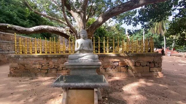 Buddha statue and Bo tree in Anuradhapura