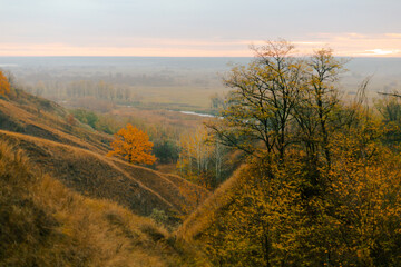 Autumn hills covered with colorful trees