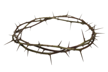 A rustic crown of thorns, meticulously crafted from thorny branches, representing suffering, sacrifice, and the passion of Christ on a transparent background. background removed