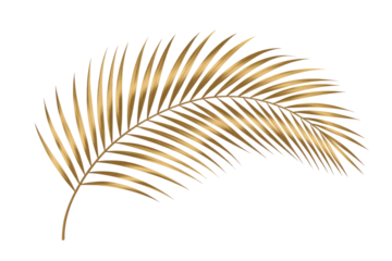 A shimmering golden palm frond with intricate veins, gently curved, against a deep verdant transparent background, evoking tropical luxury. background removed