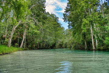 Weeki Wachee in Florida is known for its crystal-clear spring, the Weeki Wachee River, and the famous mermaid shows at the state park. Hernando County, Florida. High quality photo.