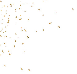Falling Golden Confetti