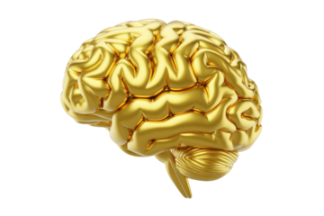 A glistening 3D rendered golden human brain against a dark green backdrop, symbolizing intelligence, brilliance, and value. background removed