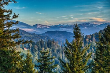 Schnebelhorn in the canton of Zurich leads through forests and hills to one of the most beautiful...