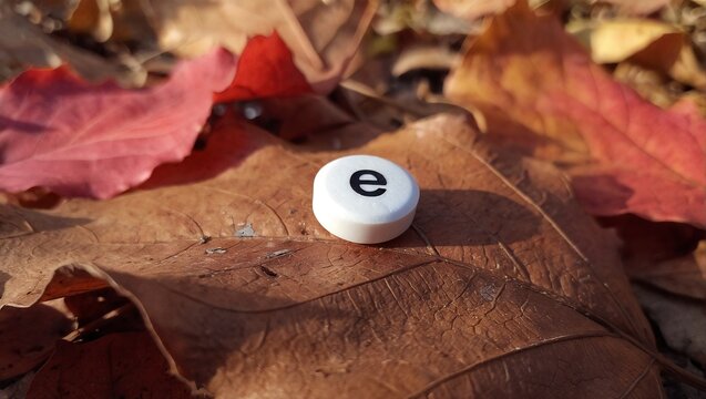 a single white letter 'e' tile rests upon a bed of richly colored autumn leaves, capturing the essence of fall and literacy.