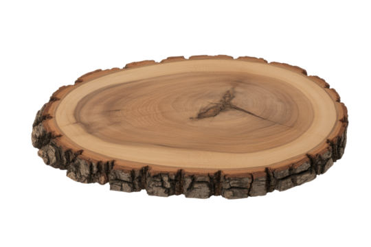 An isolated oval wood slice, showcasing natural grain patterns, a distinct crack, and rugged bark edges on a transparent background. background removed