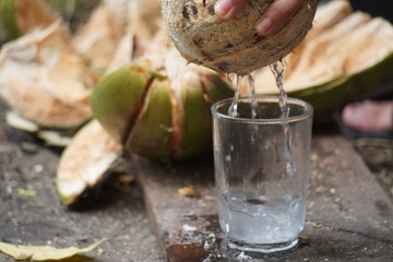 Pouring Fresh Coconut Water into Glass - A Refreshing Tropical Drink.