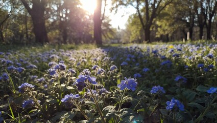 Naklejka premium a vibrant field of blue forget-me-nots blooms under the warm glow of sunlight filtering through a lush forest canopy.