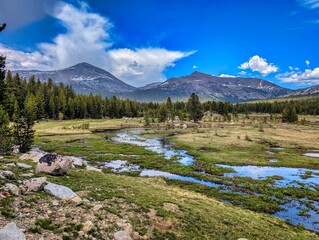 Road trip in the USA. Visiting the beautiful Yosemite National Park. Stunning scenery in California. High quality photo.
