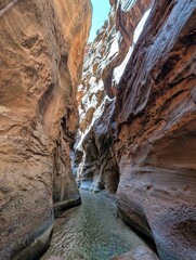Zion Narrows. Virgin River canyons in Zion National Park in the US state of Utah. A breathtaking spot in the canyon with towering rock walls all around. Road trip in the USA. High quality photo.