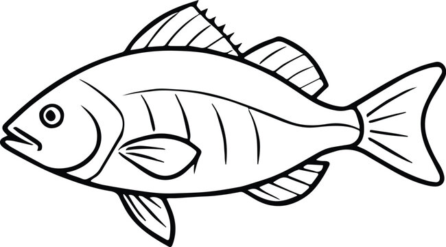 red drum fish outline vector for marine and wildlife design