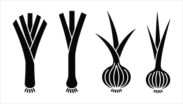 Four black silhouette vegetable icons leek and onion on white background food