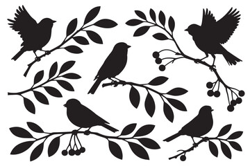 Fototapeta premium Discover Birds on Branches Silhouette Art for Nature Decor Design Print Craft