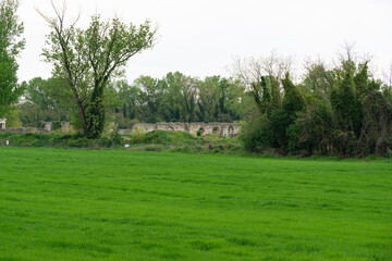 Fototapeta premium rural landscape with a house