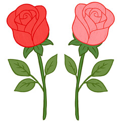 Hand-drawn illustration of red and pink roses created with colored pencils. Soft natural texture and romantic feel. Perfect for floral designs, greeting cards, decorations, and Valentine’s Day themes.