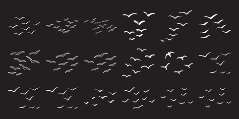 Flock of white birds in flight against a black background, hand-drawn style