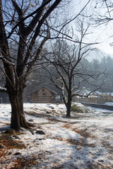 Mountain Solitude: A Remote Stone House Nestled Among Bare Winter Trees in Manali, India