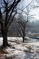 Mountain Solitude: A Remote Stone House Nestled Among Bare Winter Trees in Manali, India