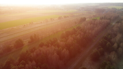 Aerial panorama of farmland with forest border