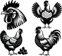 Set of 4 black and white stylized chicken illustrations in woodcut style for farm vector design, poultry branding, and decoration.