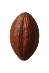 Single Cocoa Bean High quality Realistic image.
