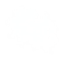 Realistic transparent white smoke cloud isolated on clear background, soft mist texture for overlay, poster design, and photo compositing