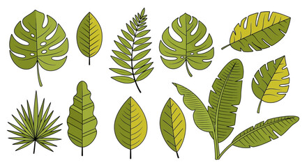 Fototapeta premium Botanical assortment of tropical green leaves in a simple hand drawn style illustration vector