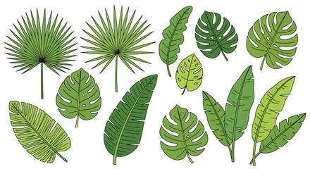 Fototapeta premium Exotic greenery: a collection of tropical leaves in a decorative botanical arrangement on white