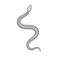 Sleek black snake slithers with intricate scale pattern and subtle shadow, evoking mystery and danger in a clean, modern design