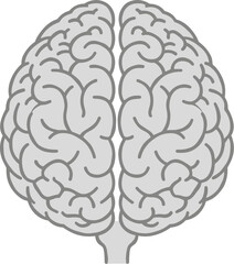 Simple Line Drawing of Human Brain Cerebral Hemisphere Anatomy Icon