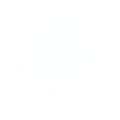 Realistic transparent white dense smoke burst, isolated soft cloud texture with airy diffusion for overlay, photo compositing, and abstract poster design