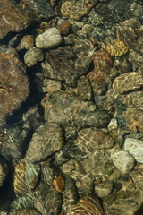 Top view of transparent water sea with stone and pebbles bottom. Sun glare on the surface crystal clear emerald water, swaying in the wind. Natural summer sea background texture.