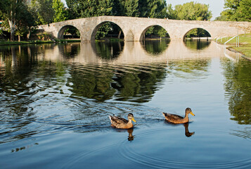 Bridge over river with ducks