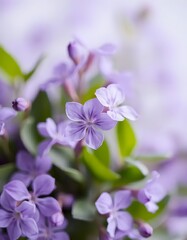 Soft Focus Violet Flowers with Pastel Tones
