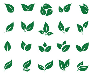 Leaf Icon Set – Minimal Line Art of Botanical, Organic, and Eco Plant Symbols for Nature, Vegan, and Herbal Design Vector Illustration