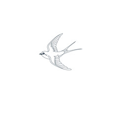 Swallow Bird Logo – Elegant Flying Bird Illustration