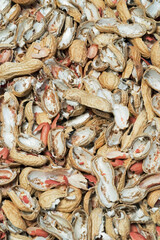 cracked shells of roasted peanuts