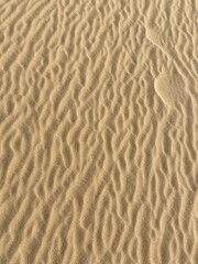Golden Sand Texture with Natural Wind Patterns in Desert