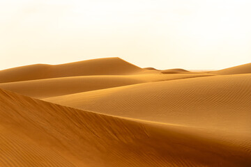 The Golden Desert

In these parts of the world, sand deserts and giant dunes form. Rainfall is less than 250mm, and sandstorms are common, accompanied by strong winds that can last for days. Beautiful