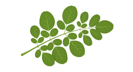 Fototapeta premium Elegant leafy branch on white backdrop evoking calmness and the beauty of nature