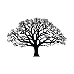 Silhouette of a Bare Tree on White Background winter branches nature black and isolated vector graphic design illustration plant
