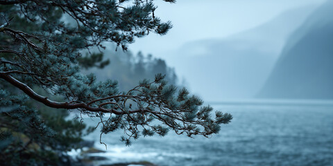 Moody Fjord Landscape with a Pine Branch in the Foreground