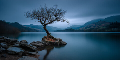Iconic Lonely Tree in a Tranquil Lake at Blue Hour