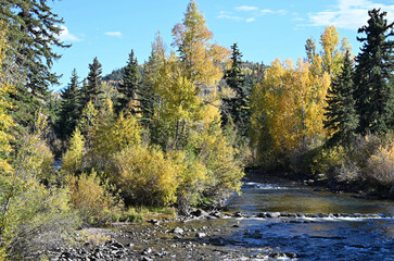 River in the Fall